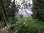 Brand
