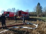 Brand